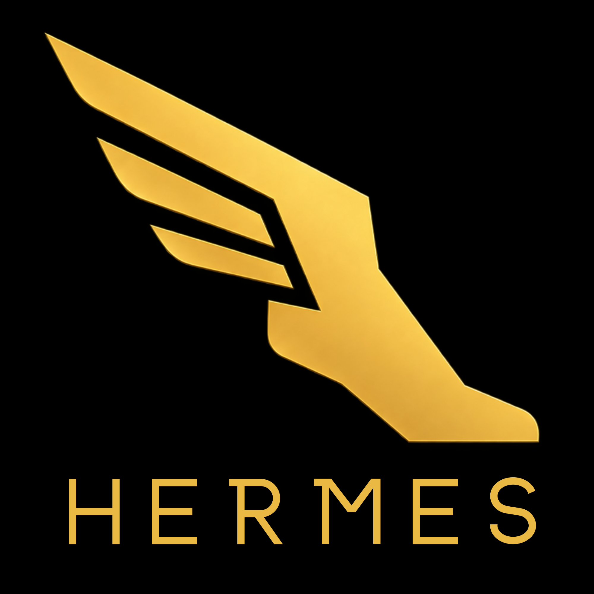 Hermes Debt Recovery